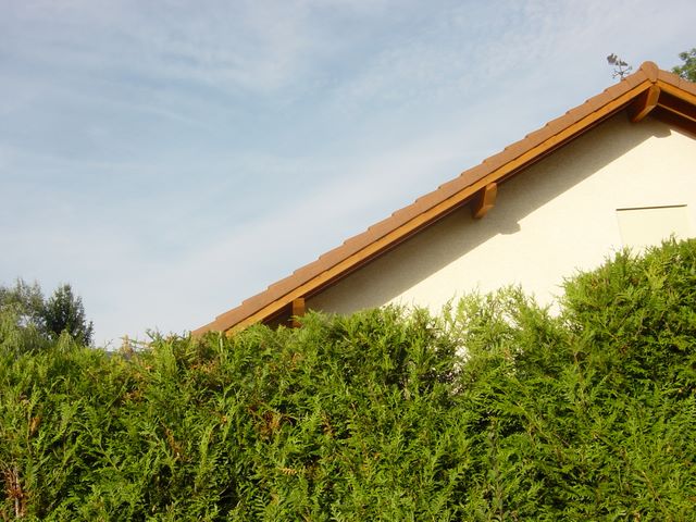 dsc03929.jpg