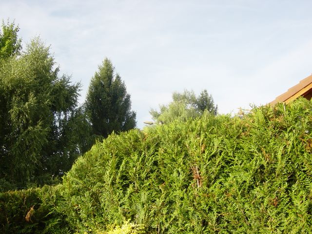 dsc03930.jpg