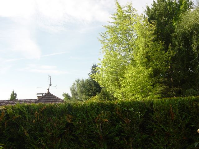 dsc03931.jpg