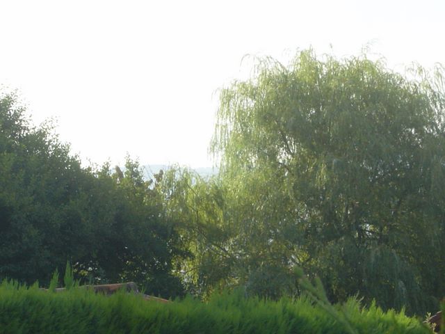 dsc03934.jpg