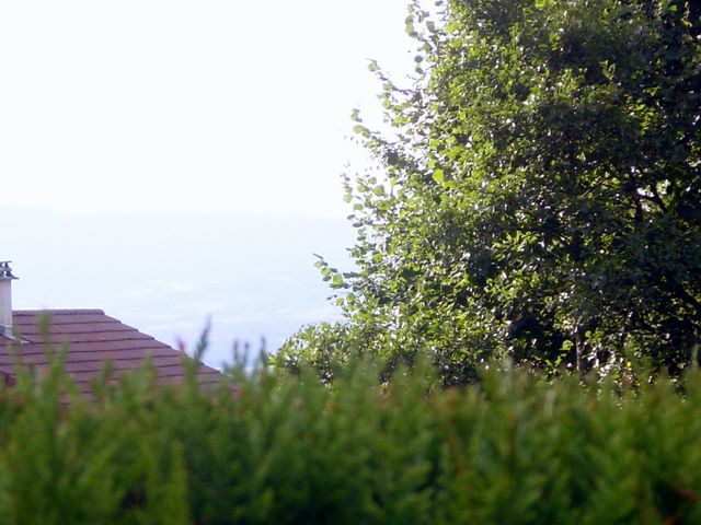 dsc03935.jpg