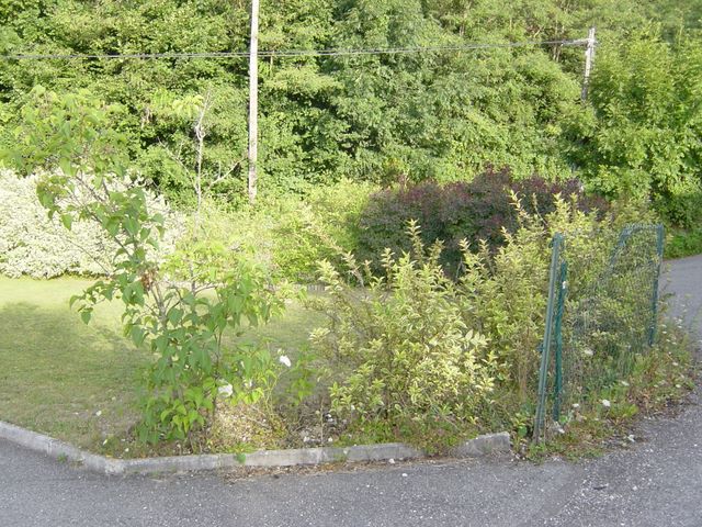 dsc03942.jpg