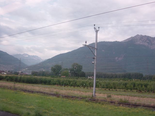 dsc03779.jpg