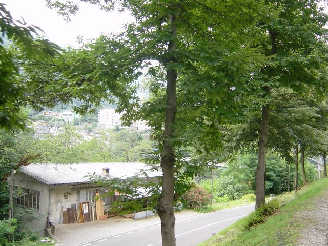 dsc03817.jpg