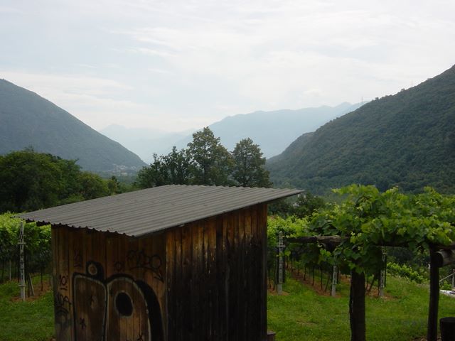dsc03818.jpg
