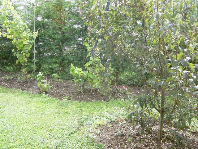 dsc03972.jpg