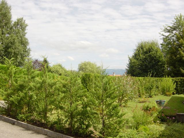 dsc03989.jpg