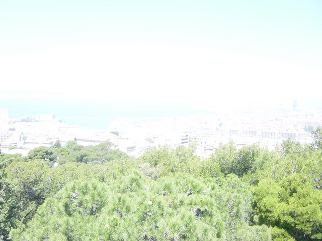 dsc03681.jpg