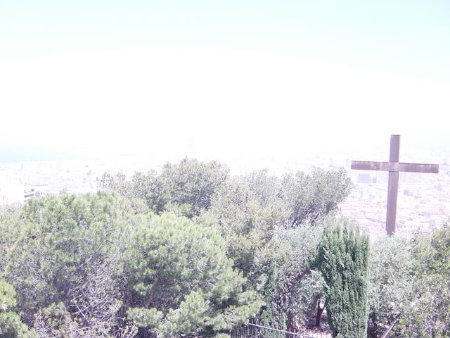 dsc03682.jpg