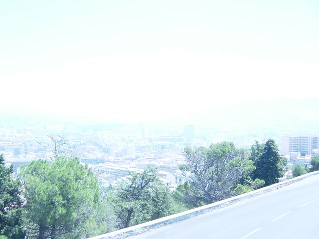 dsc03684.jpg