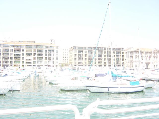 dsc03694.jpg