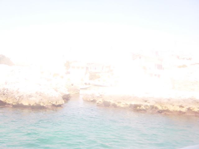 dsc03699.jpg