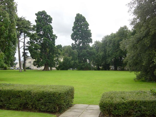 dsc04004.jpg