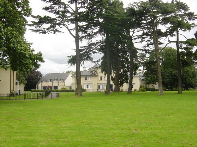 dsc04012.jpg