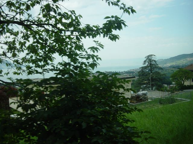 dsc03725.jpg