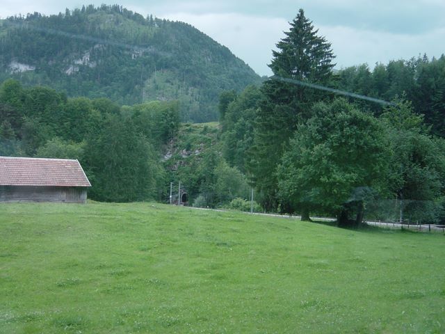 dsc03730.jpg