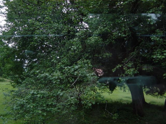 dsc03731.jpg