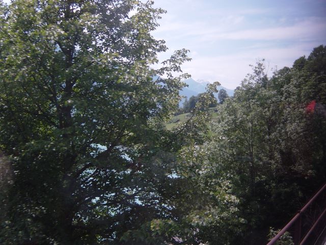dsc03761.jpg