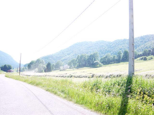 dsc03713.jpg