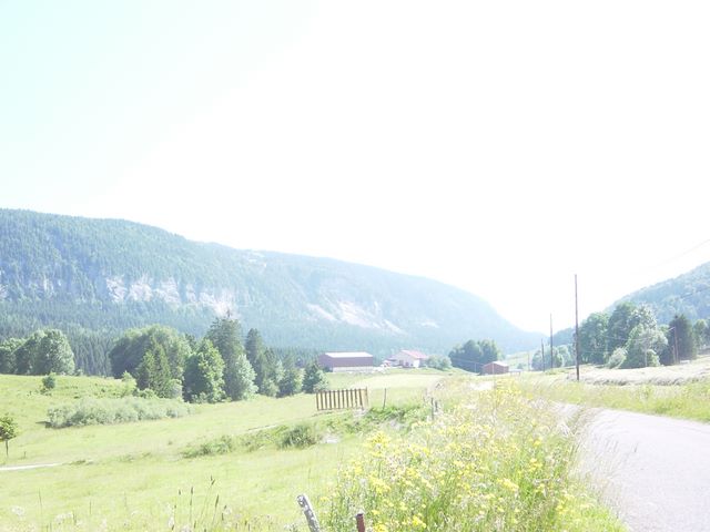 dsc03714.jpg
