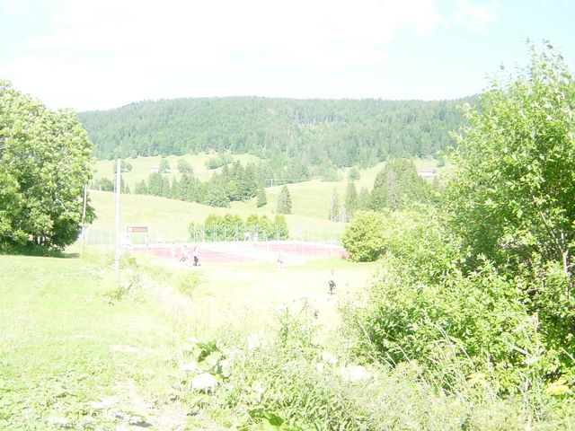 dsc03715.jpg
