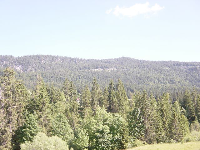 dsc03717.jpg