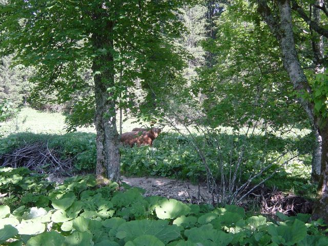 dsc03719.jpg